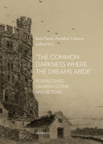 «The common darkness where the dreams abide». Perspectives on Irish gothic and beyond  - Libro Aguaplano 2018, Scritture e linguaggi | Libraccio.it