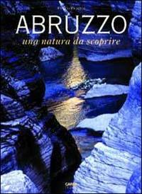 Abruzzo. Una natura da scoprire - Fulco Pratesi - Libro CARSA 1996, Abruzzo da scoprire | Libraccio.it