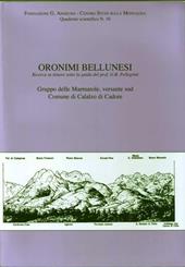 Oronimi bellunesi. Quaderno scientifico. Vol. 10: Gruppo delle Marmarole, versante sud.