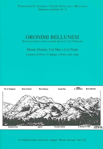 Oronimi bellunesi. Monte Dolada, col Mat e col Nudo. Comune di Pieve d'Alpago e Ponte nelle Alpi  - Libro Fondazione Giovanni Angelini 2015 | Libraccio.it