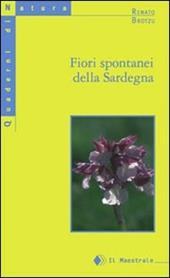 Fiori spontanei della Sardegna
