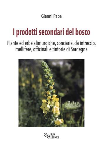 I prodotti secondari del bosco. Piante ed erbe alimurgiche, conciarie, da intreccio, mellifere, officinali e tintorie di Sardegna - Gianni Paba - Libro Alfa Editrice 2020, Storia e memoria | Libraccio.it