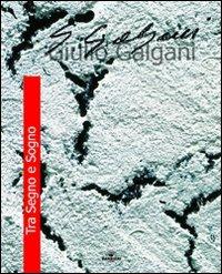 Tra segno e sogno - Giulio Galgani - Libro Barbieri 2004, Fuori collana | Libraccio.it
