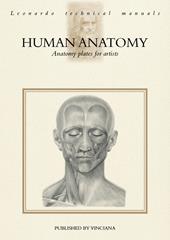 Human anatomy. Anatomy plates for artists