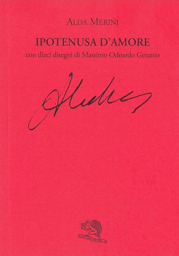Ipotenusa d'amore - Alda Merini - Libro La Vita Felice 1995, Labirinti | Libraccio.it