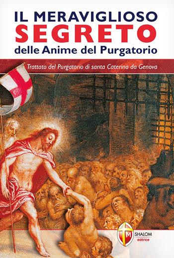 Il meraviglioso segreto delle anime del purgatorio - Silvano Bracci - Libro Editrice Shalom 2011, L' aldilà | Libraccio.it
