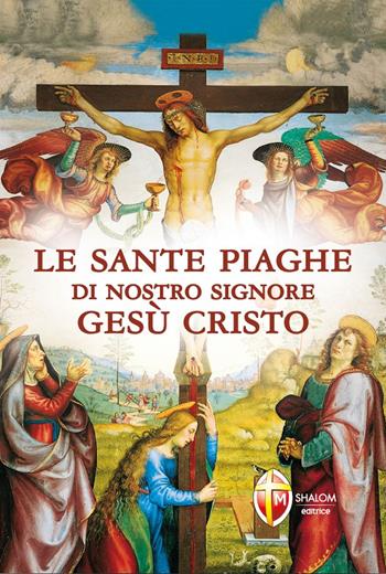 Le sante piaghe di nostro Signore Gesù Cristo - Robert Rieger - Libro Editrice Shalom 2015, Il figlio | Libraccio.it