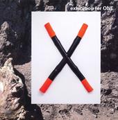 Exhibition for One. Catalogo della mostra (Breno, Museo Camuno, 26 giugno-24 ottobre 2021). Ediz. illustrata