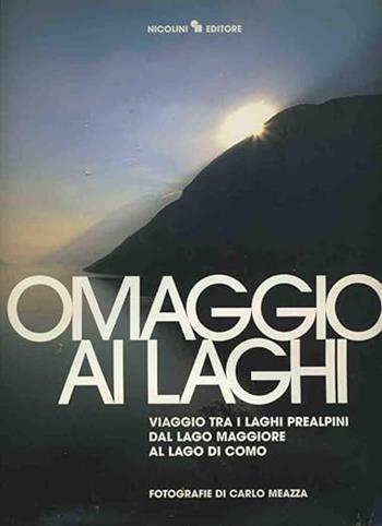 Omaggio ai laghi - Carlo Meazza, Marco Tamborini, Mario Chiodetti - Libro Nicolini 2002 | Libraccio.it