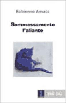 Sommessamente l'aliante - Fabienne Amato - Libro Il Dito e la Luna 2016, Il nome delle cose | Libraccio.it