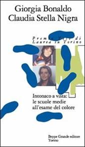 Intonaco a vista: le scuole medie all'esame del colore