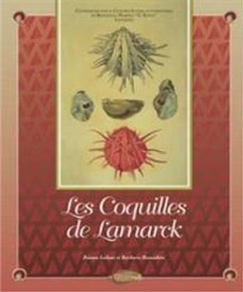 Le coquilles de Lamarck - Bianca Isolani Manachini, Barbara Manachini - Libro Debatte 2013 | Libraccio.it