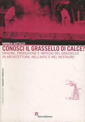 Conosci il grassello di calce? Origine, produzione e impiego del grassello in architettura, nell'arte e nel restauro