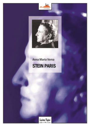 Stein Paris - Anna Maria Verna - Libro Tufani Editrice 2014, Critica | Libraccio.it
