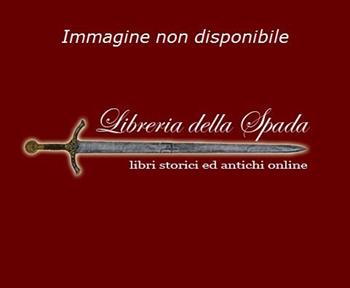 Stefano Bruzzi. La poetica della neve. Ediz. illustrata - Andrea Baboni - Libro TIP.LE.CO 2011 | Libraccio.it