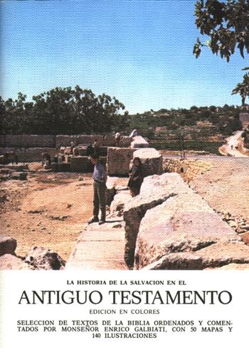 Antiguo Testamento. La historia de la salvacion - Enrico Galbiati - Libro ISG Edizioni 2001, La storia della salvezza | Libraccio.it