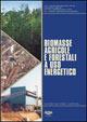 Biomasse agricole forestali a uso energetico  - Libro Agra 2012, Forestazione & ambiente | Libraccio.it