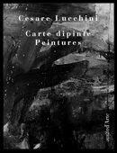 Cesare Lucchini. Carte dipinte-Peintures - Matteo Bianchi, Sandra Solimano - Libro Pagine d'Arte 2000, Cataloghi | Libraccio.it