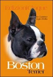 Boston Terrier