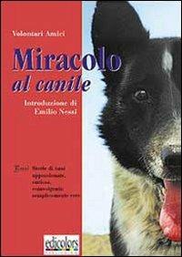 Miracolo al canile. Brevi storie appassionate, curiose, sconvolgenti, semplicemente vere  - Libro Edicolors 2000 | Libraccio.it