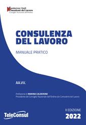 Consulenza del lavoro. Manuale pratico