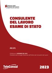 Consulente del lavoro. Esame di Stato