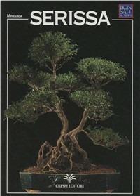 Serissa - Maurizio Rolfi - Libro Crespi 1997, Miniguide monografiche | Libraccio.it