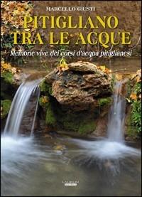 Pitigliano tra le acque. Memorie vive dei corsi d'acqua pitiglianesi - Marcello Giusti - Libro Laurum 2010 | Libraccio.it