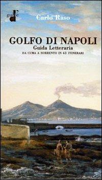 Il golfo di Napoli. Guida letteraria. Da Cuma a Sorrento - Carlo Raso - Libro Di Mauro Franco 2007 | Libraccio.it