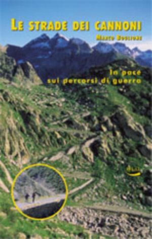 Le strade dei cannoni. In pace sui percorsi di guerra - Marco Boglione - Libro Blu Edizioni 2003, Natura e ambiente | Libraccio.it