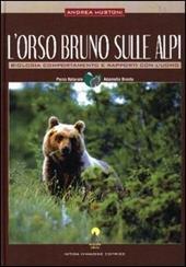 L' orso bruno sulle Alpi