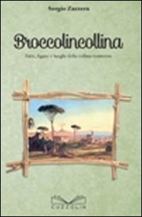 Broccolincollina. Fatti, figure e luoghi della collina vomerese - Sergio Zazzera - Libro Cuzzolin 2016 | Libraccio.it