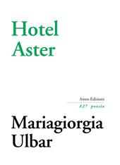 Hotel Aster