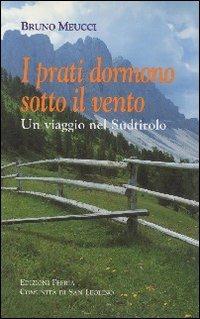 I prati dormono sotto il vento. Un viaggio nel Sudtirolo - Bruno Meucci - Libro Città Ideale 2006, Il granello di senapa | Libraccio.it