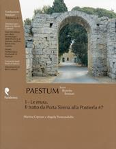 Paestum. Scavi. Ricerche, restauri. Vol. 1: Le mura. Il tratto da porta Sirena alla Pusterla 47