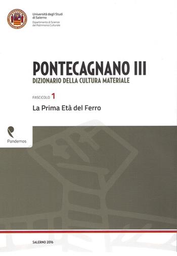 Pontecagnano III. Dizionario della cultura materiale. Vol. 1: La prima età del ferro - Patrizia Gastaldi, Bruno D'Agostino - Libro Pandemos 2016 | Libraccio.it