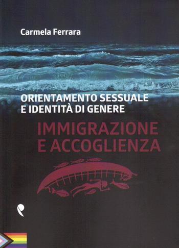 Orientamento sessuale e identità di genere. Immigrazione e accoglienza - Carmela Ferrara - Libro Pandemos 2019 | Libraccio.it