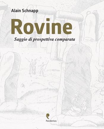 Rovine. Saggio di prospettiva comparata. Ediz, italiana e francese. Ediz. bilingue - Alain Schnapp - Libro Pandemos 2020, Drómoi | Libraccio.it