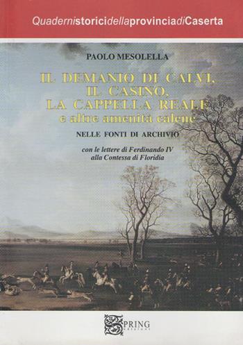 Il demanio di Calvi, Il Casino, la cappella reale e altre amenità calene - Paolo Mesolella - Libro Spring Edizioni 2008, Quaderni storici della città di Caserta | Libraccio.it