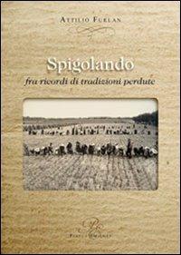 Spigolando fra ricordi di tradizioini perdute - Attilio Furlan - Libro Piazza Editore 2008 | Libraccio.it