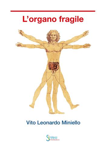L'organo fragile - Vito Leonardo Miniello - Libro Sintesi Infomedica 2019 | Libraccio.it