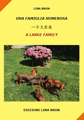Una famiglia numerosa. Ediz. italiana, cinese e inglese - Lina Brun - Libro Lina Brun 2021, Collana tre lingue | Libraccio.it