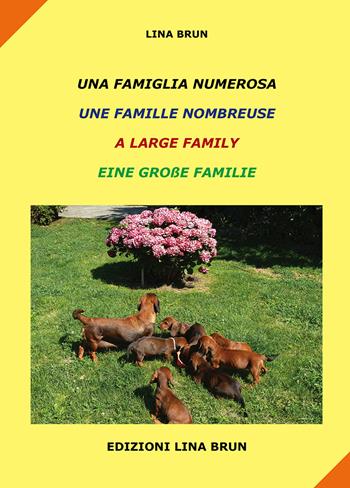 Una famiglia numerosa-Une famille nombreuse-A large family-Eine grabe familie. Ediz. multilingue - Lina Brun - Libro Lina Brun 2014, Collana quattro lingue | Libraccio.it