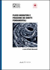 Flussi migratori e fruizione dei diritti fondamentali  - Libro Il Sirente 2008, Diritto internazionale | Libraccio.it