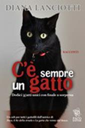 C'è sempre un gatto. Dodici gatti unici con finale a sorpresa