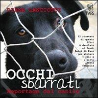 Occhi sbarrati. Reportage dal canile - Diana Lanciotti - Libro Paco Editore 2007, Amici di zampa | Libraccio.it