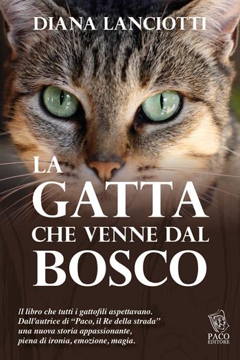 La gatta che venne dal bosco - Diana Lanciotti - Libro Paco Editore 2013, Amici di zampa | Libraccio.it