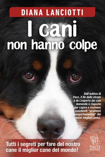 I cani non hanno colpe - Diana Lanciotti - Libro Paco Editore 2017, Amici di zampa | Libraccio.it
