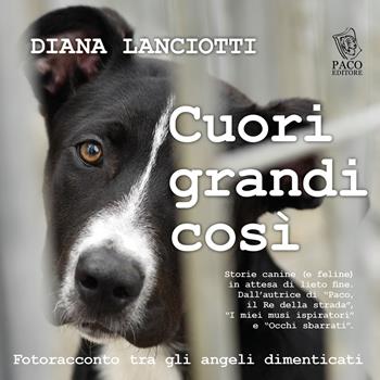 Cuori grandi così. Fotoracconto tra gli angeli dimenticati - Diana Lanciotti - Libro Paco Editore 2023, Amici di zampa | Libraccio.it