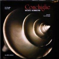 Conchiglie. Un'arte sommersa. Ediz. illustrata - Pino Battaglia, Gianni Gini, Carlo Borlenghi - Libro Dominioni 2017 | Libraccio.it